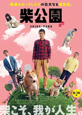 91蝌蚪在线视频