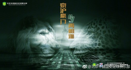 99精品视频在线观看免费专区