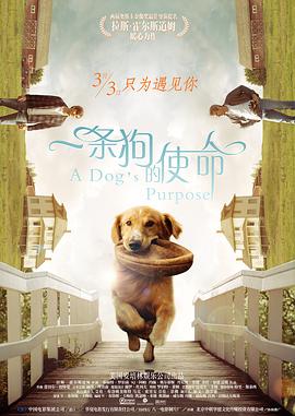 亚洲精品视频导航