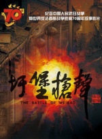 中国 业余的 自制的