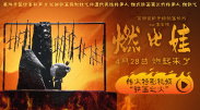 91视频网址入口