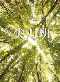 亚洲伊人久久大香线蕉下载