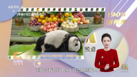 久久电影免费观看完整版