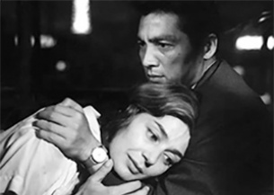 欧美v日本
